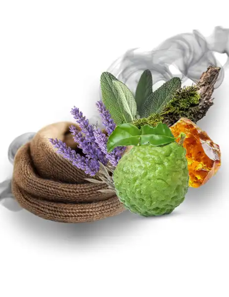 Velvet Musk Clean Fragrance - Clean Fragrances